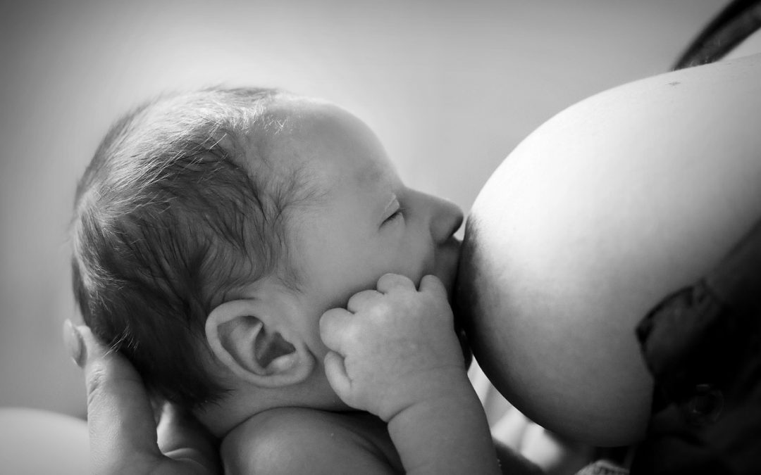 Alimentation de rêve et rétablissement post-partum | Healthy Mama Hacks