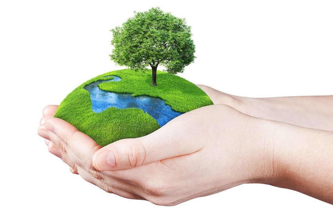 Quiz de la Journée de la Terre pour préserver la planète